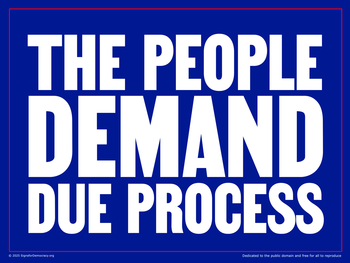 Protest sign - The people demand due process