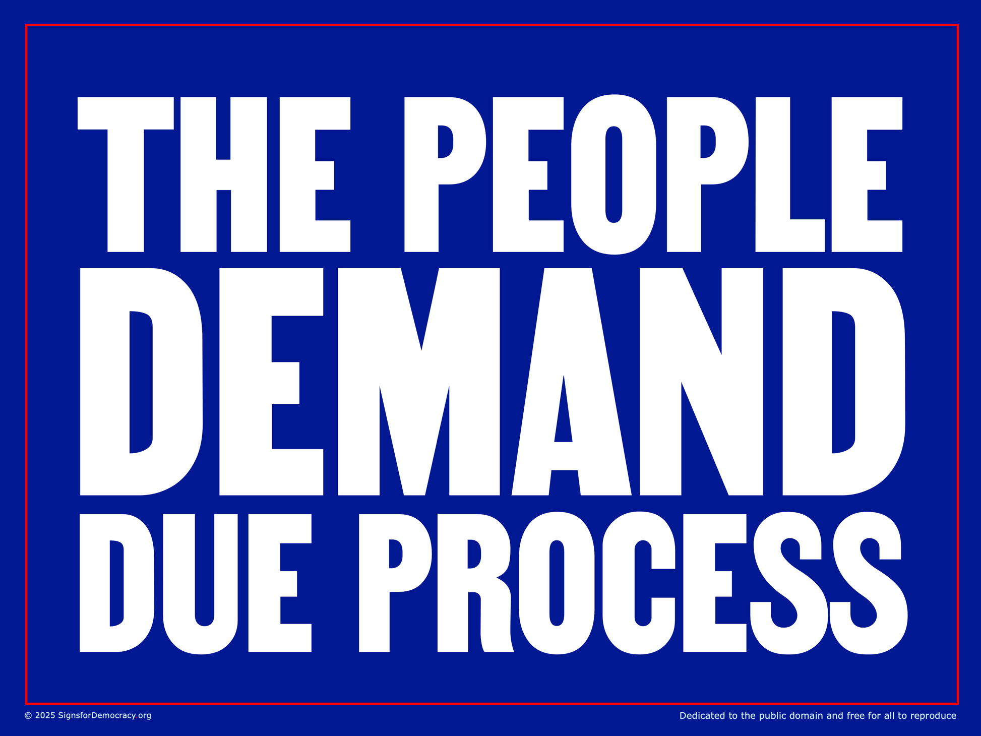 Protest sign - The people demand due process
